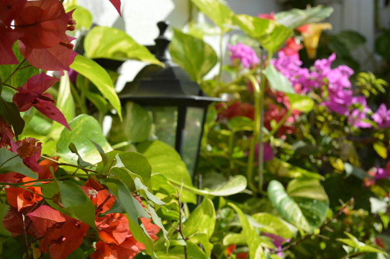 Hotel Casa Mary Cartagena Esterno foto